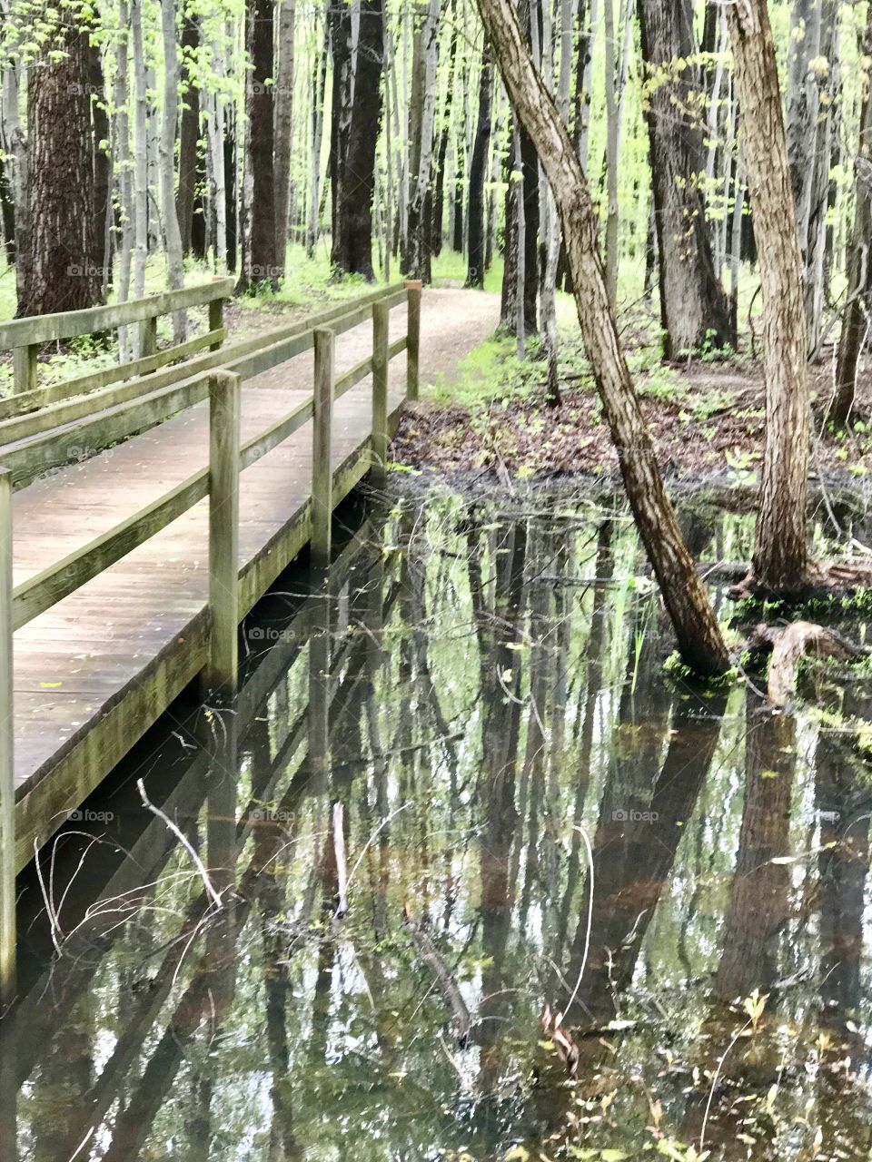 Veteran's Park, Mentor, Ohio