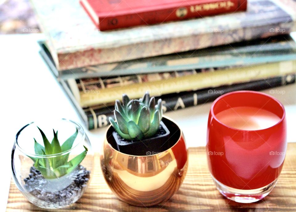 Indoor plants and decor 