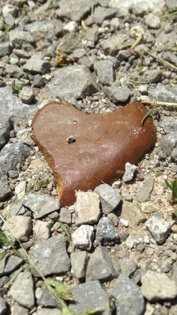 Heart shaped rock