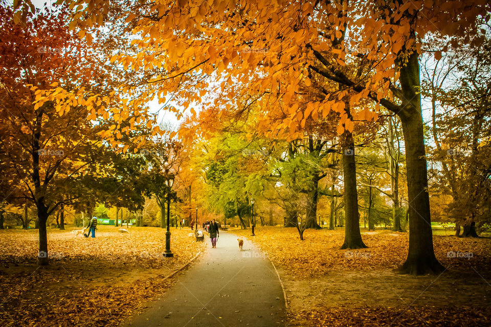 October in Central Park