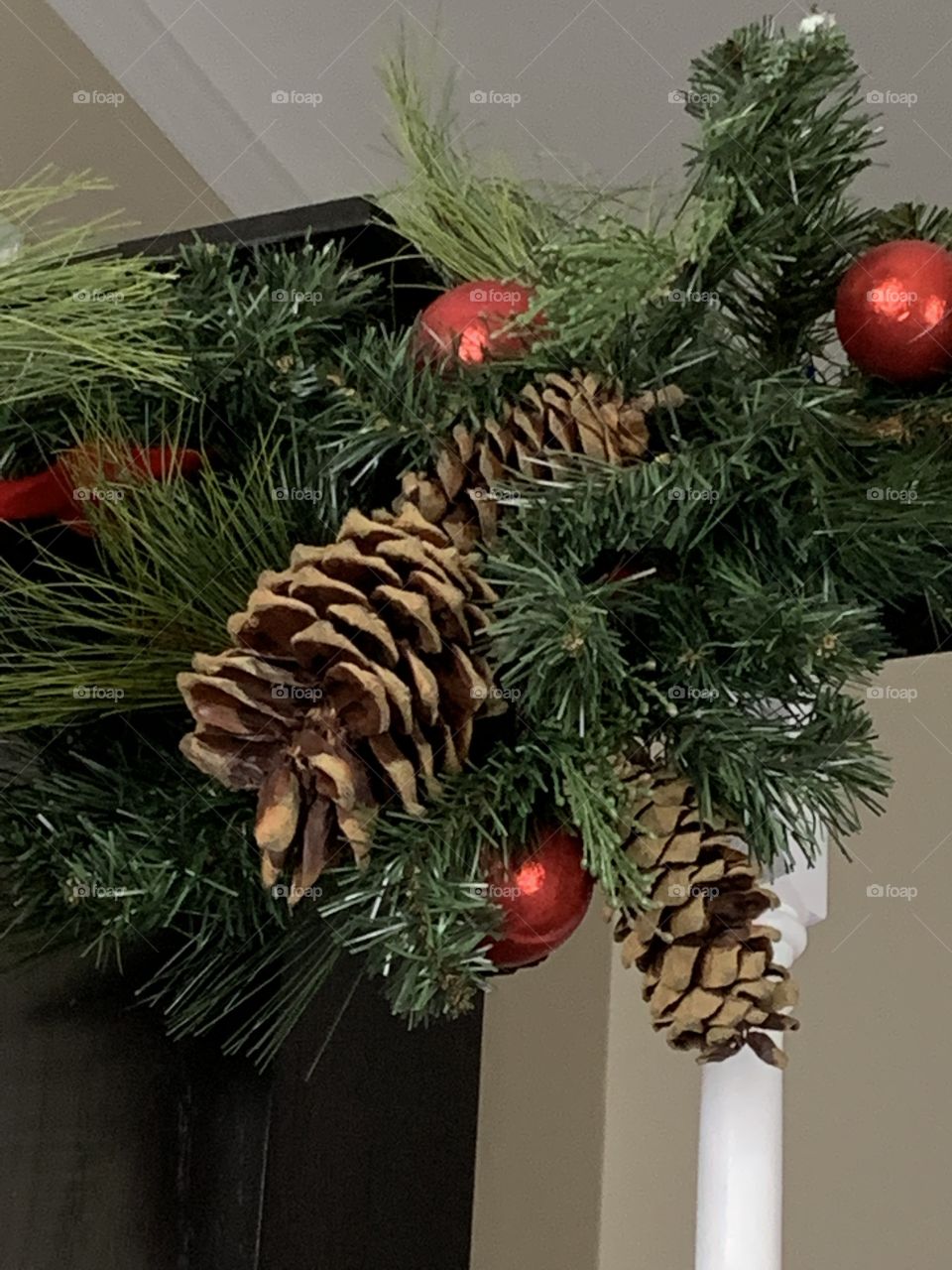 Christmas Pine comes
