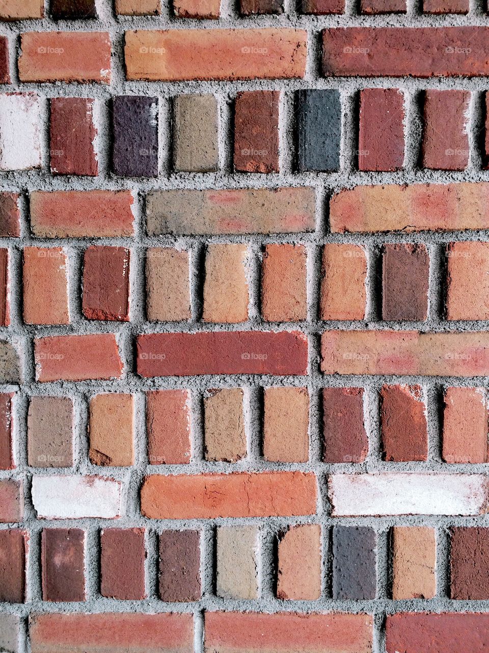 Bricks