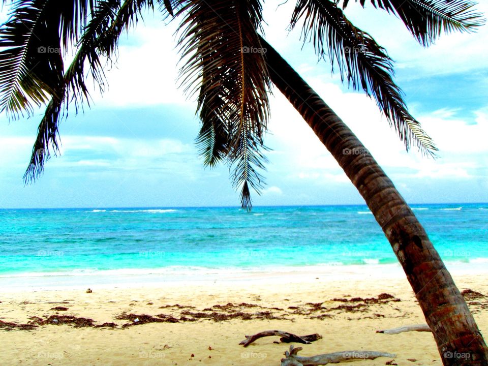Beach, Sand, Tropical, Ocean, Vacation