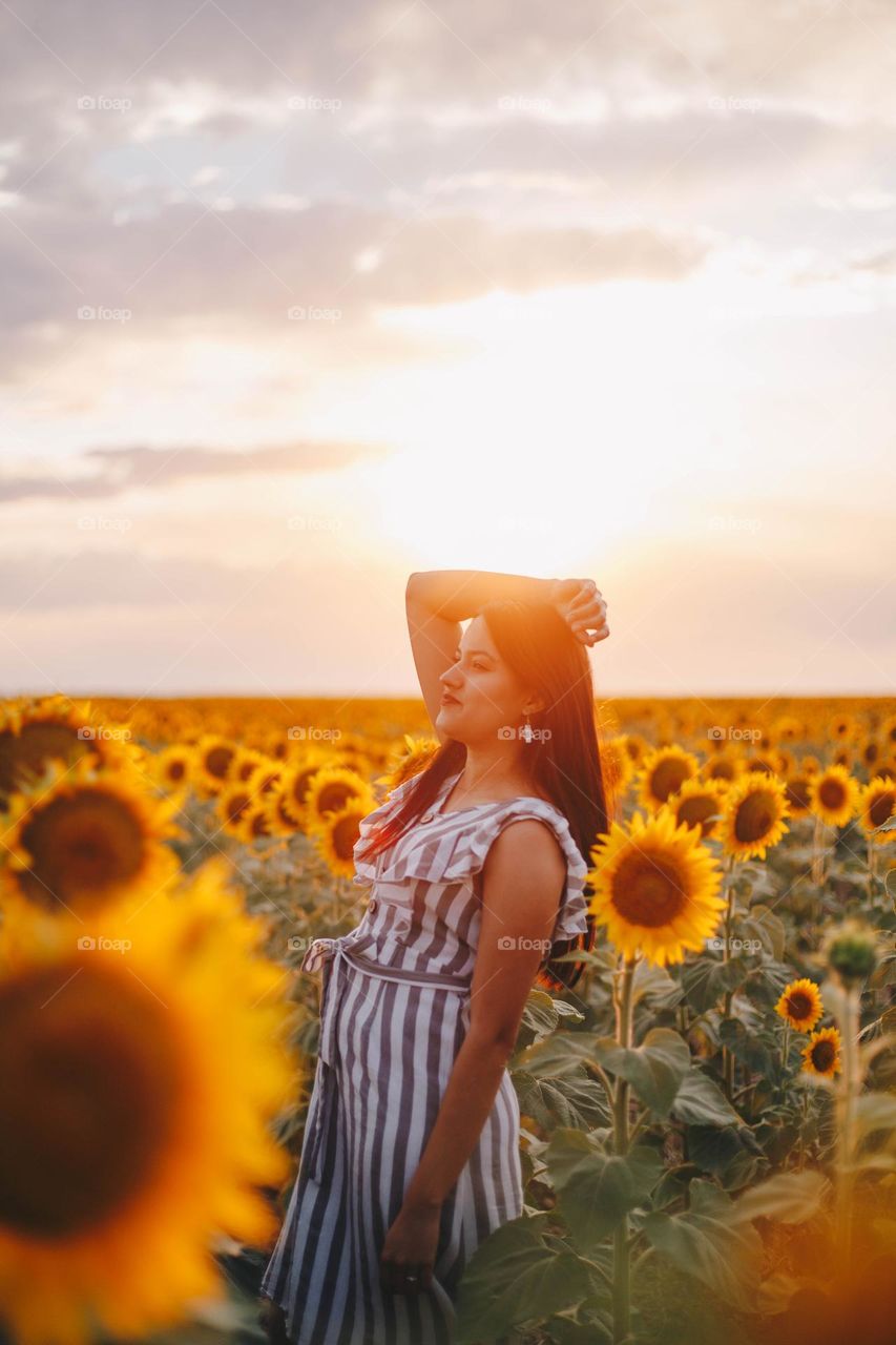 Sunflowers 