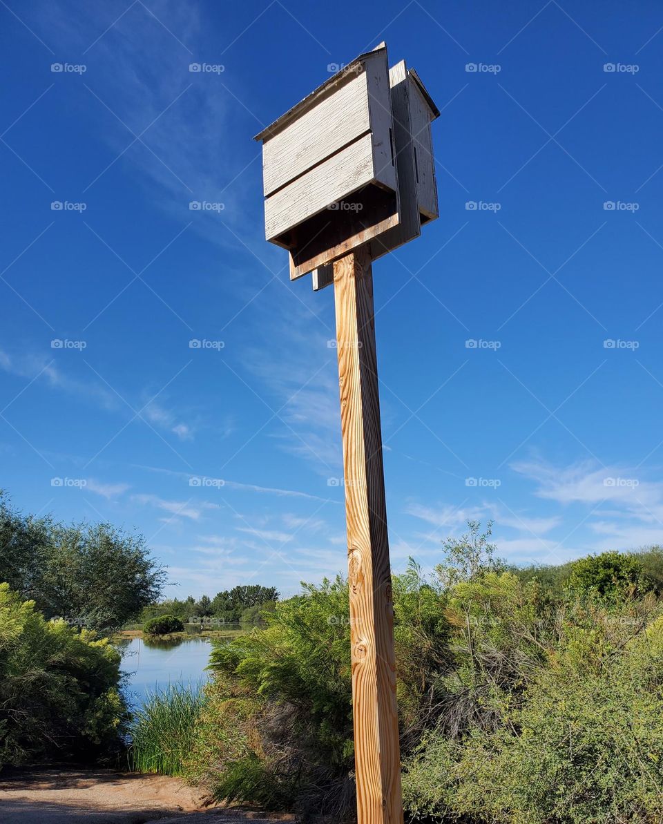 Bird Feeder at the Park