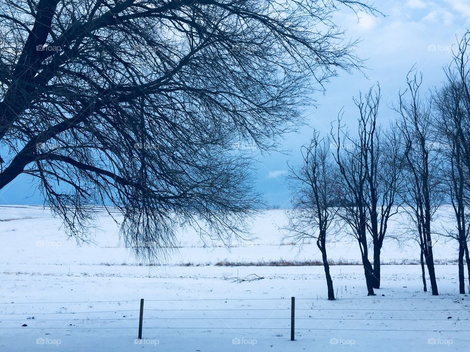 A wintery rural landscape against the dark sky of an approaching storm