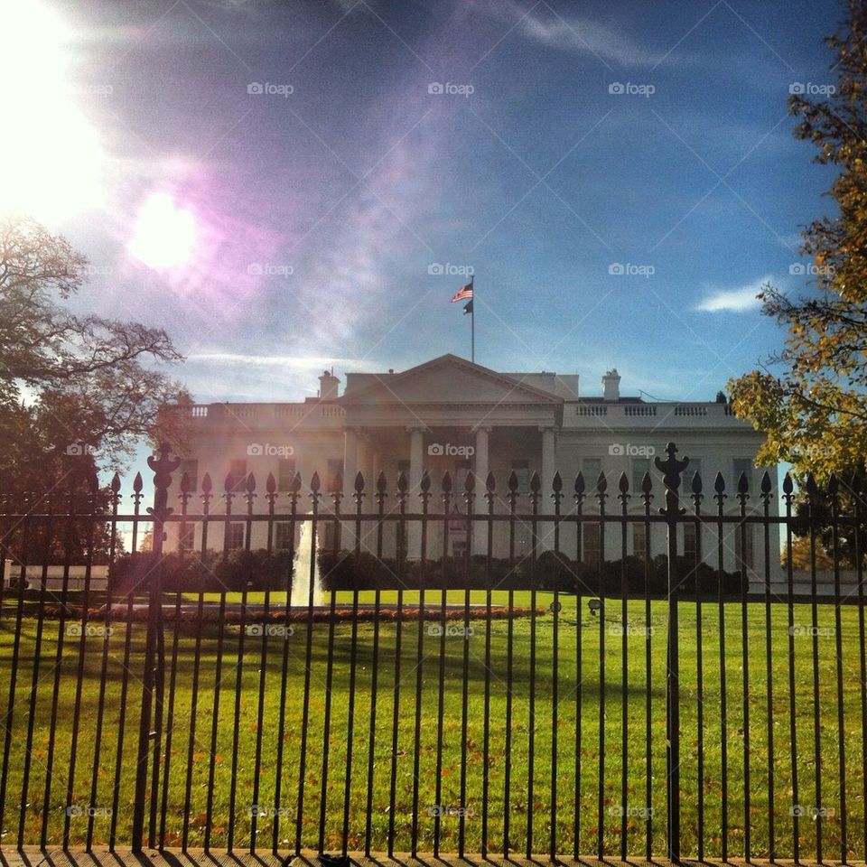 White House in the Summer