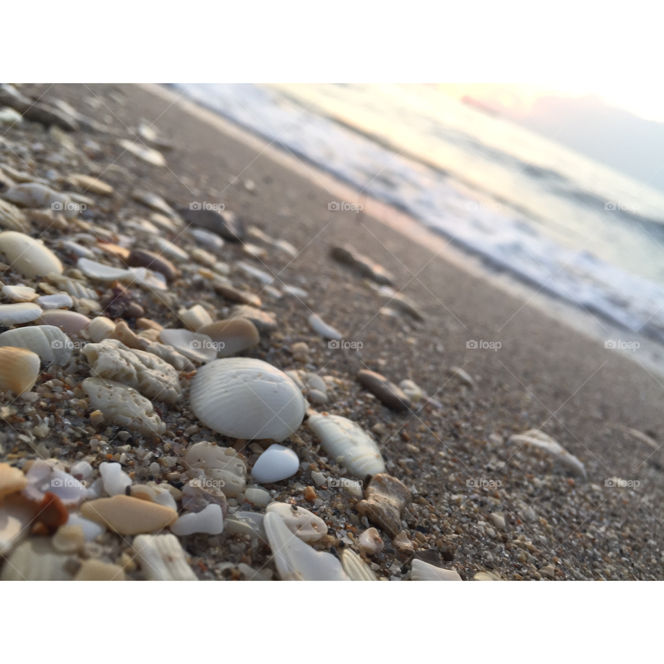 If shells could speak 