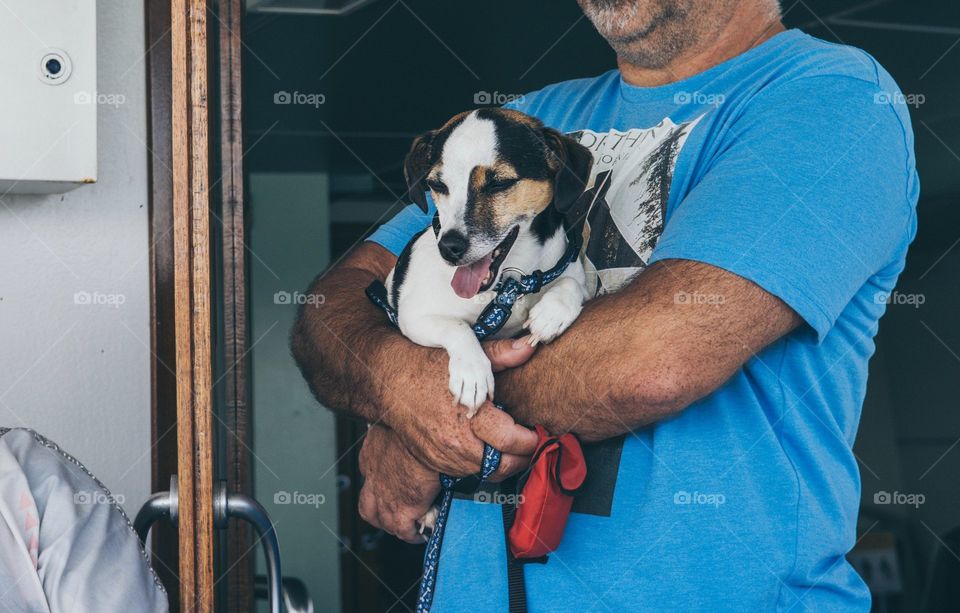 Owner holds dog on his hands