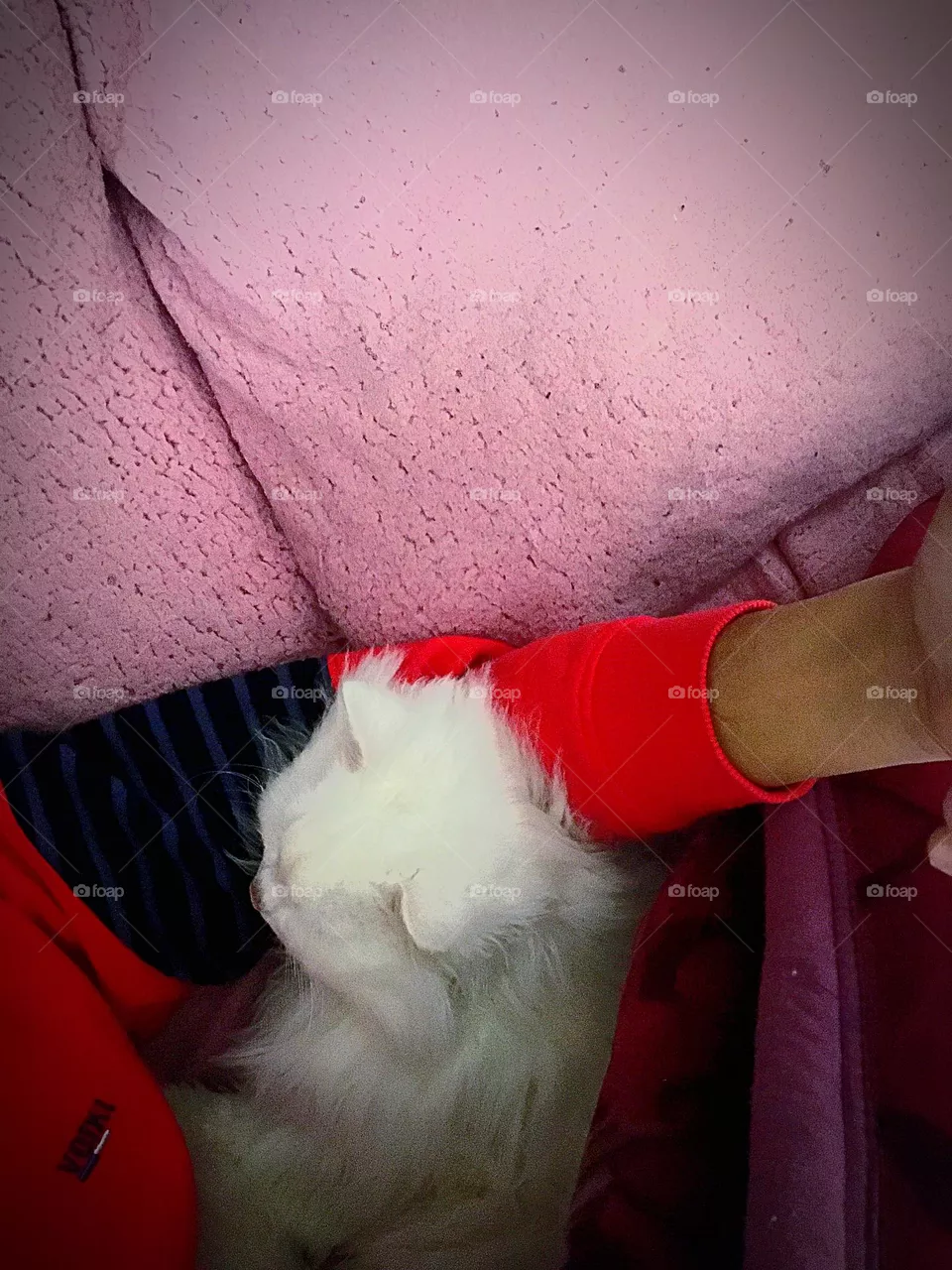 sleeping on my arm 