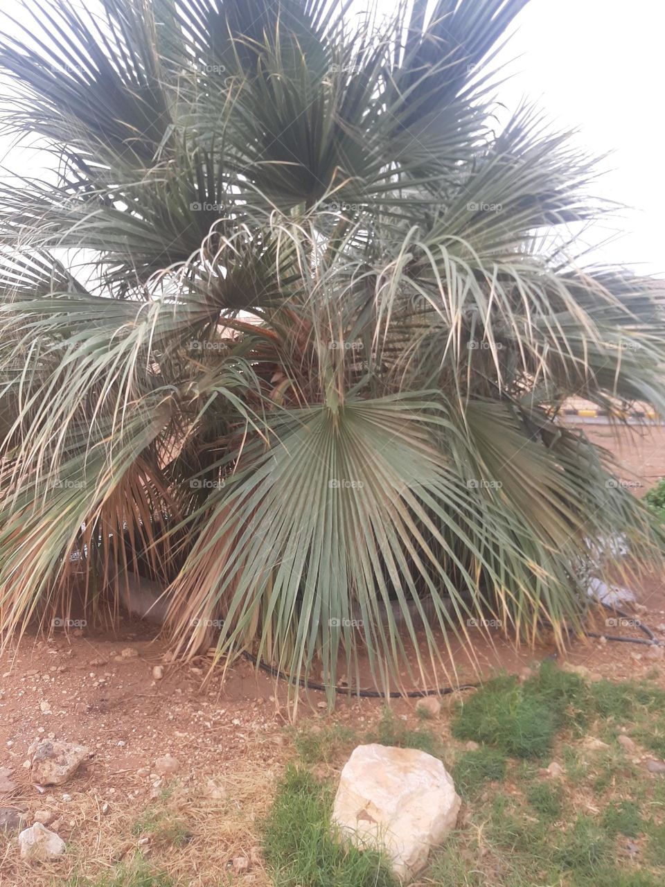 Please help me, I am very poor, I need your support and God is in need