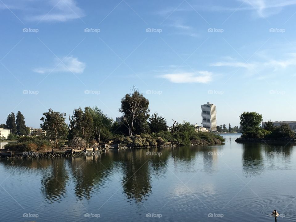 A bit of land on lake Merrit reflecting on the lake 