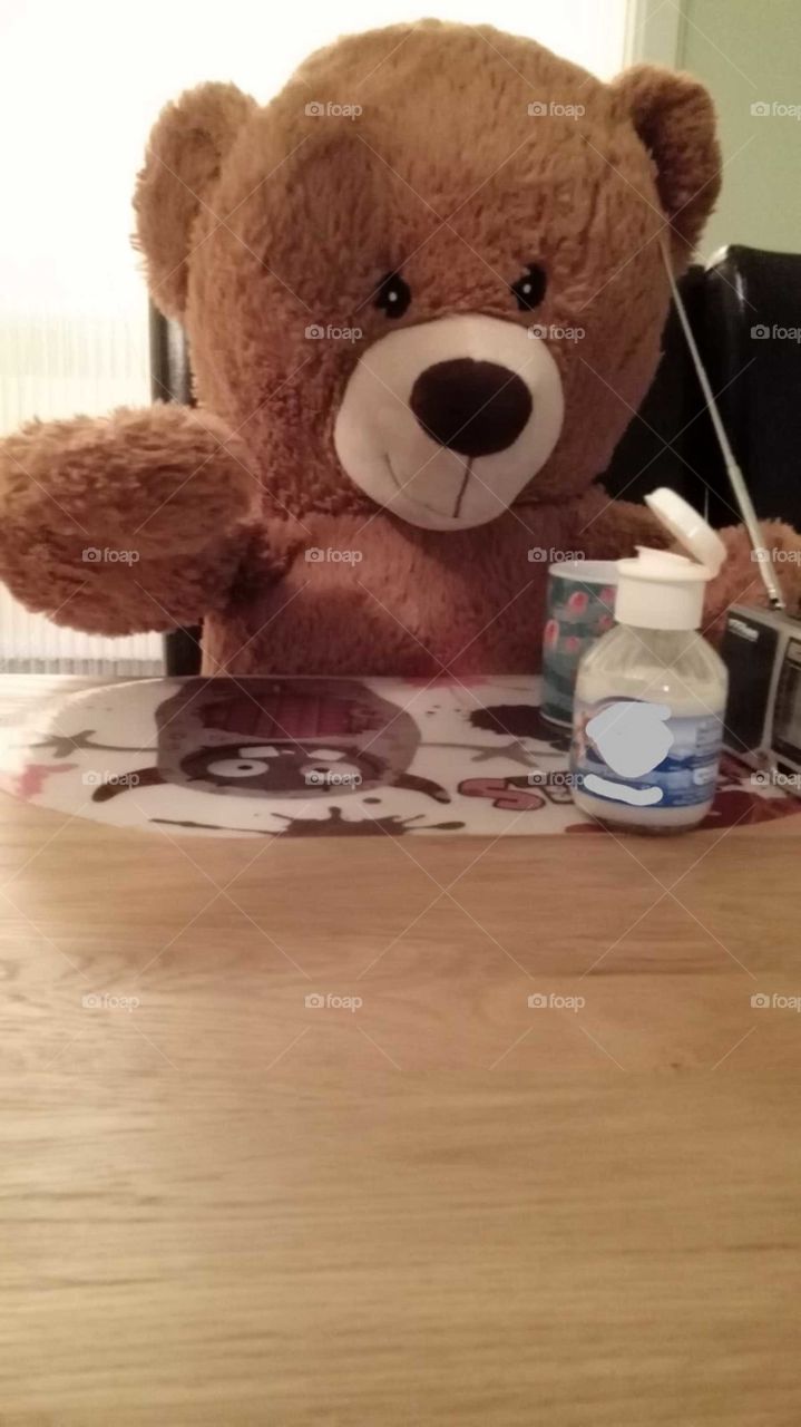 Frühstück Teddy Bär Kaffee trinken gemütlich Kindheit Gespräch lustig anders Puppe Trost. Teddybär