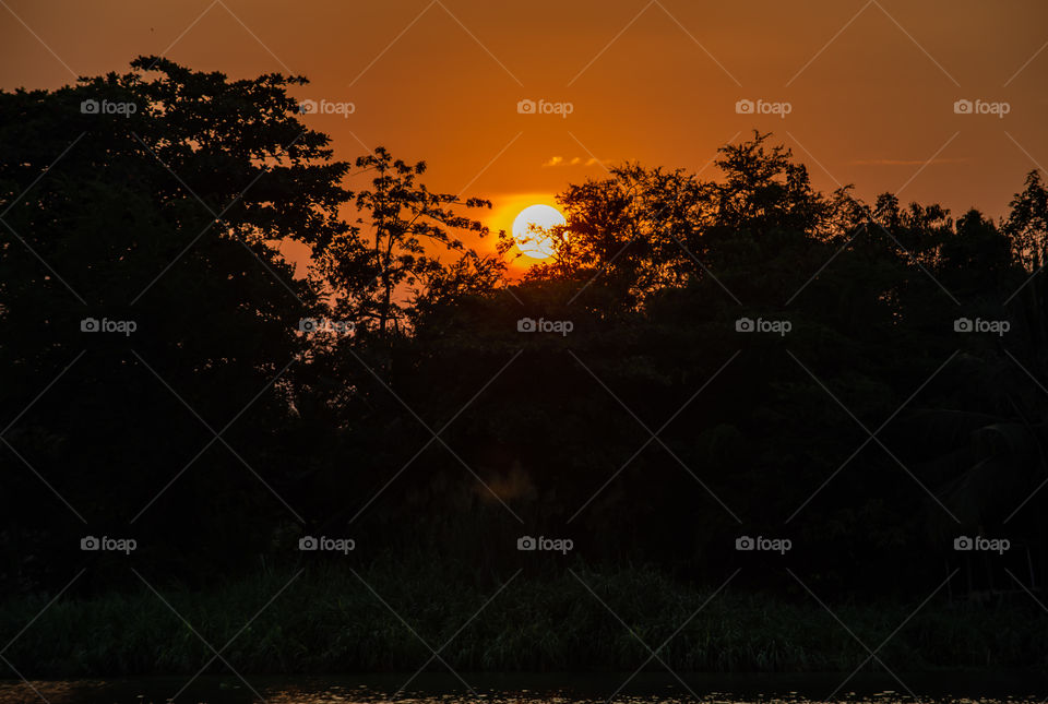 The beauty of a sunset behind a tree and orange sky