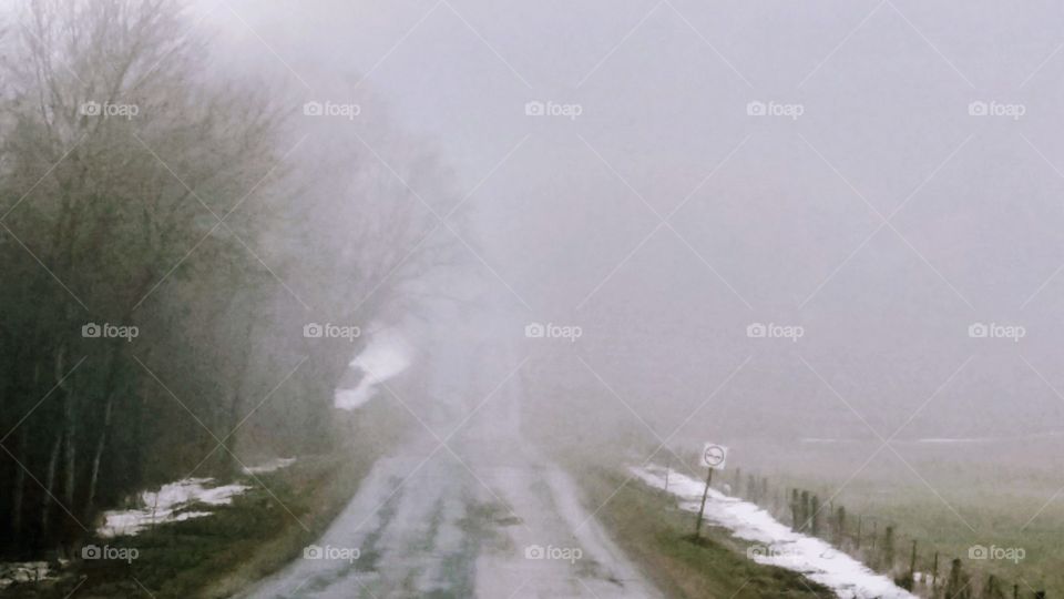 Fog over countryside road during winter