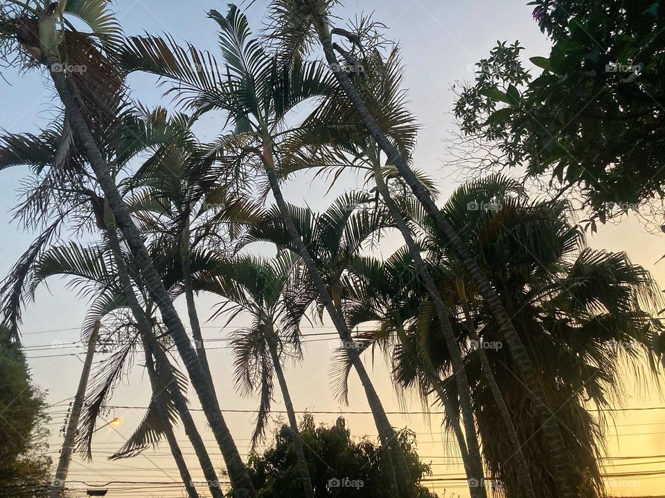 🌄🇺🇸 An extremely beautiful dawn in Jundiaí, interior of Brazil. Cheer the nature! / 🇧🇷 Um amanhecer extremamente bonito em Jundiaí, interior do Brasil. Viva a natureza! 