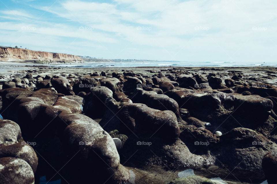 Tide pools 