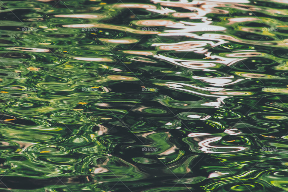 A sunny day standing by the pond, a sunlight hit the surface creating beautiful reflection of the water in green color