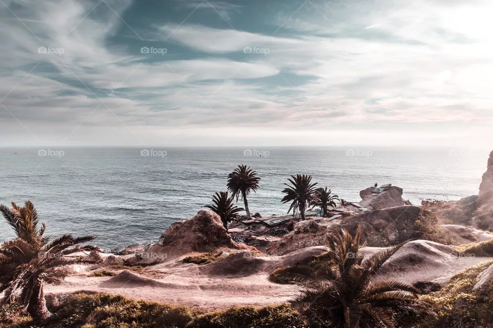 Amazing ocean