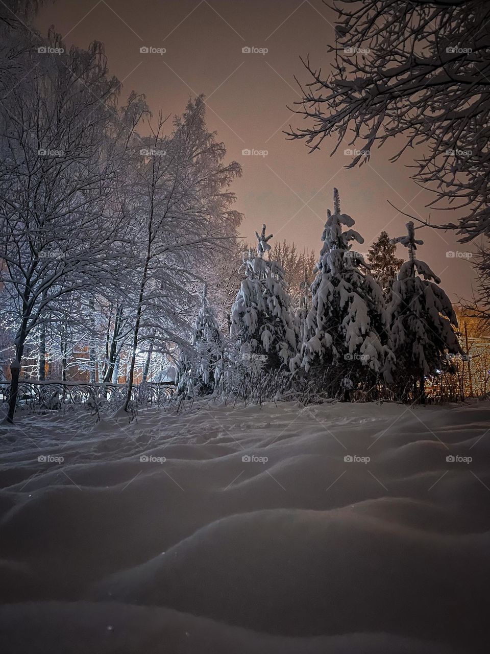 Night scene in winter forest