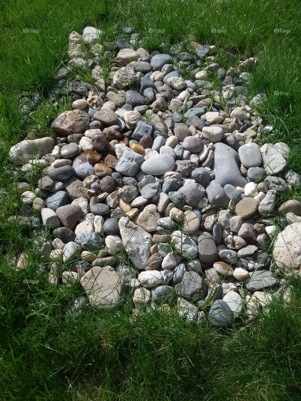 Pebble on grassy field