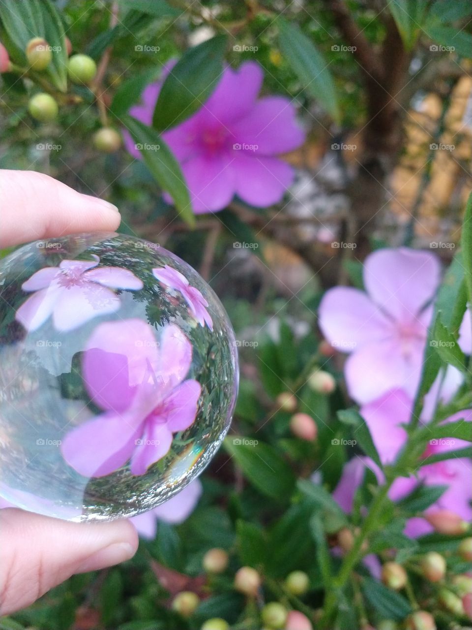 lensball