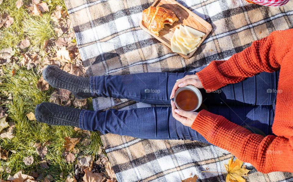 picnic in the park