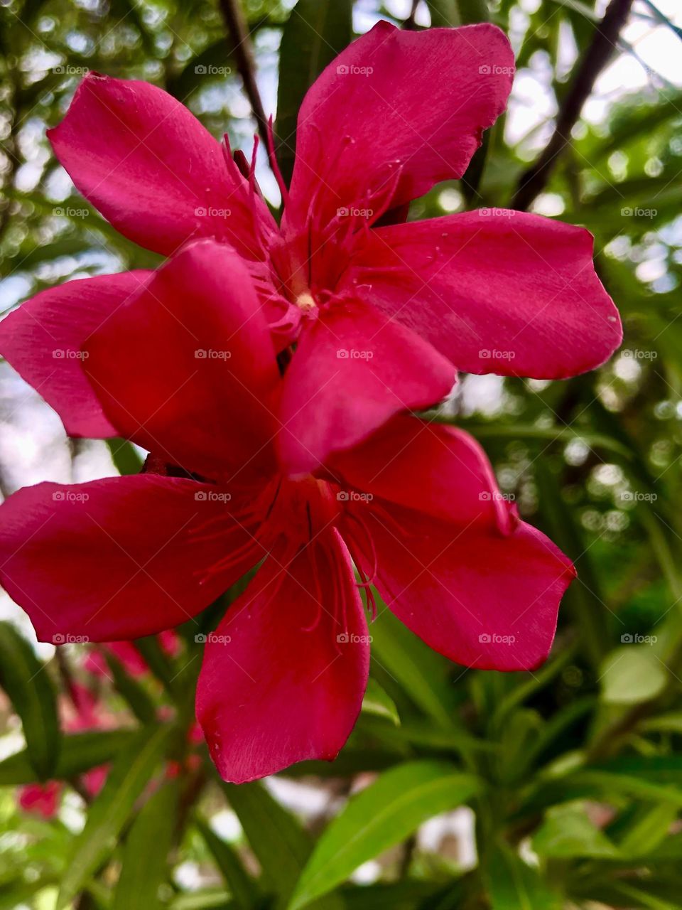 Upload the photo of the month July