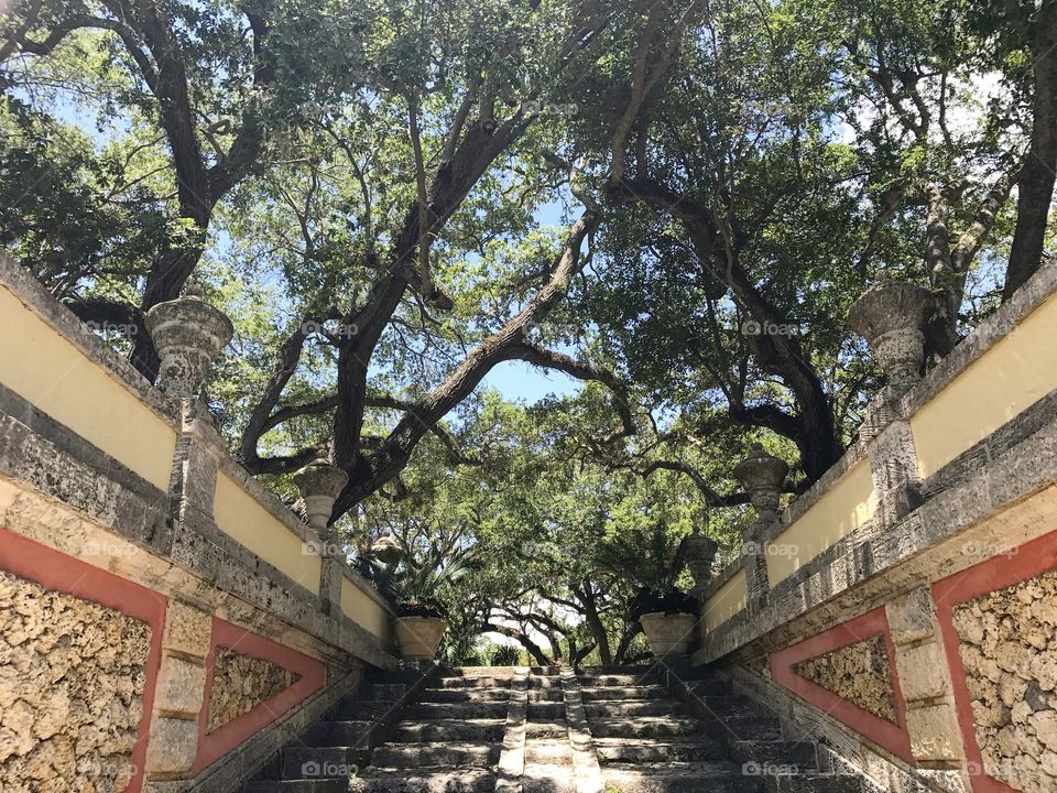 Vizcaya Gardens 