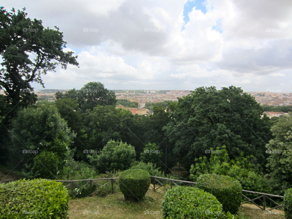 No Person, Tree, Nature, Landscape, Garden