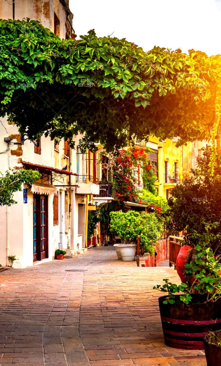 village photo so clean and peaceful place so green and nice home colour so nice road and also so clean place