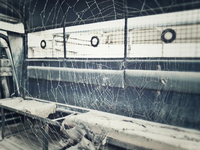 Spider Web 2