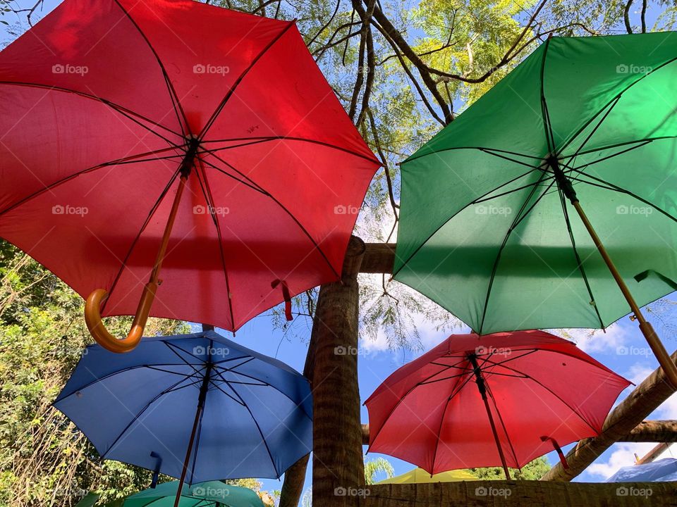 Colorful Umbrellas 