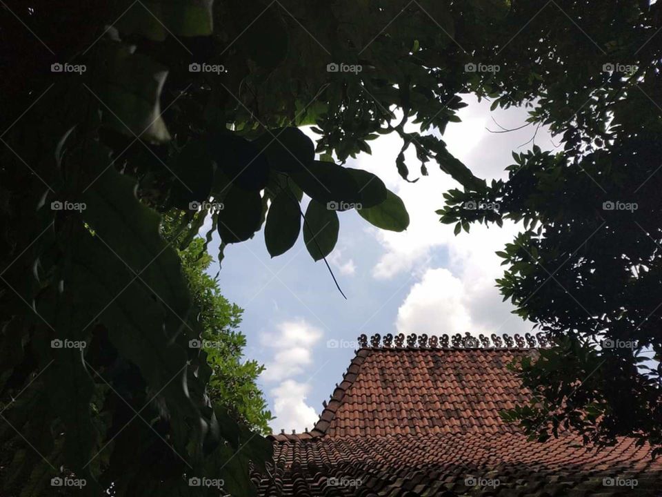View of roof from back home