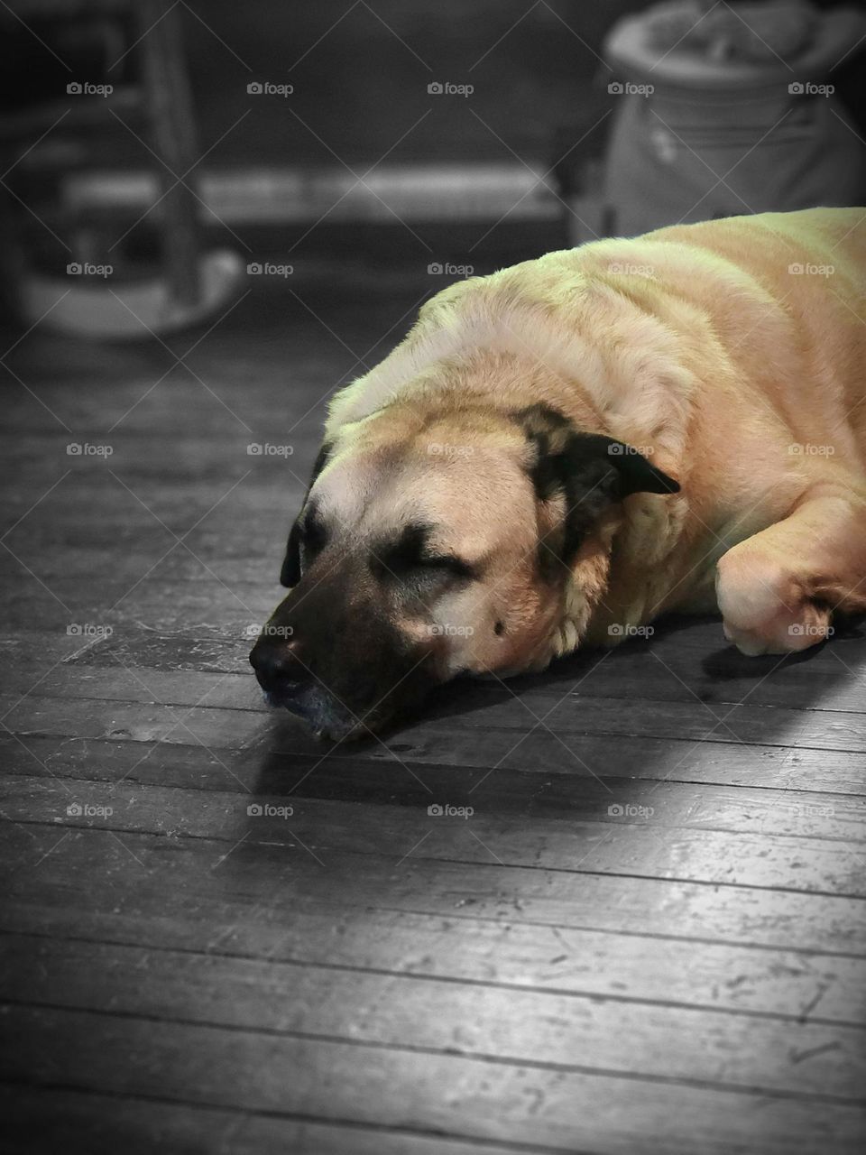 My Best friend is the Light of my Life