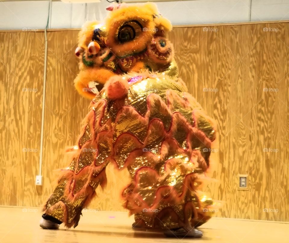 Asian Extravaganza Festival 2017 - Lion Dance 
wu shu kung fu - China