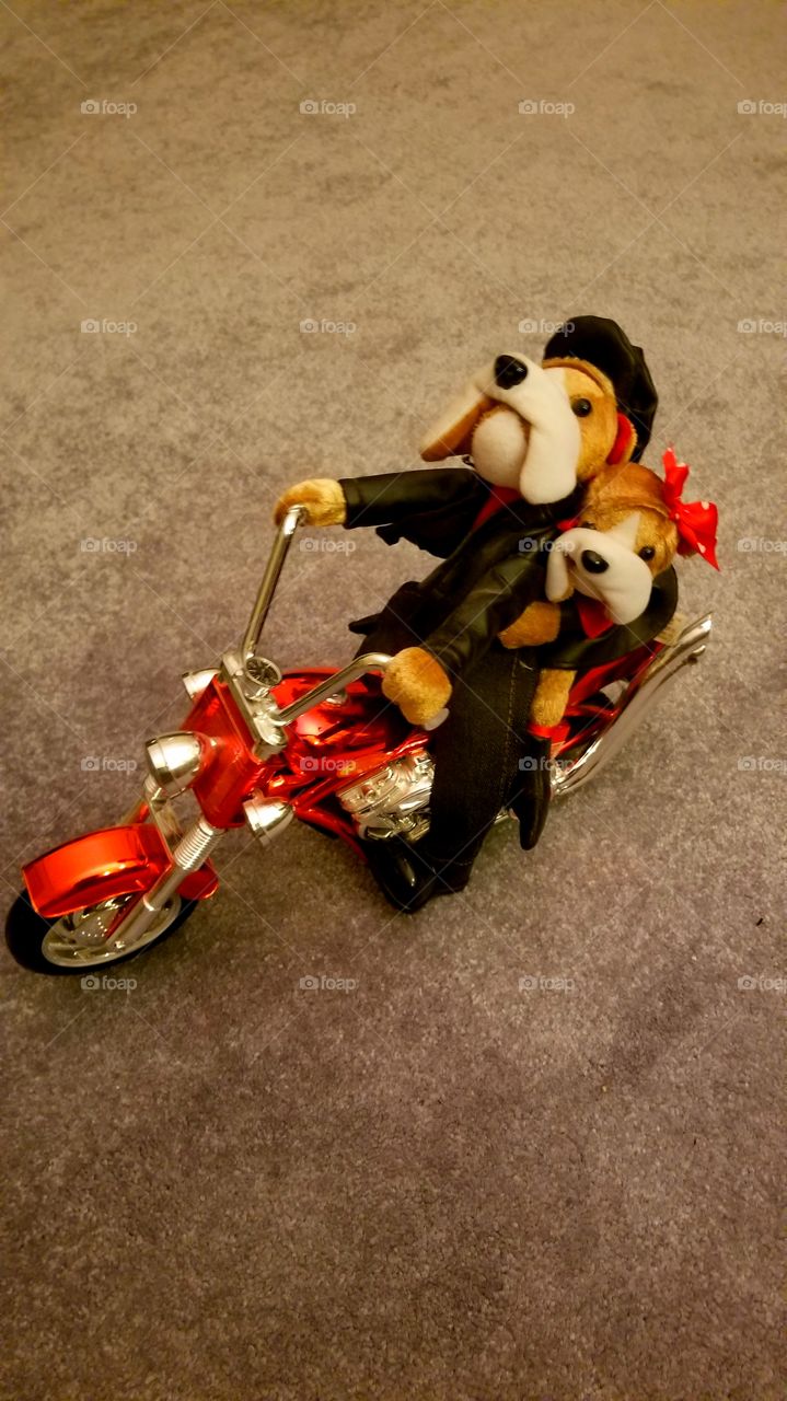 toy, dogs, motorcycle riding
