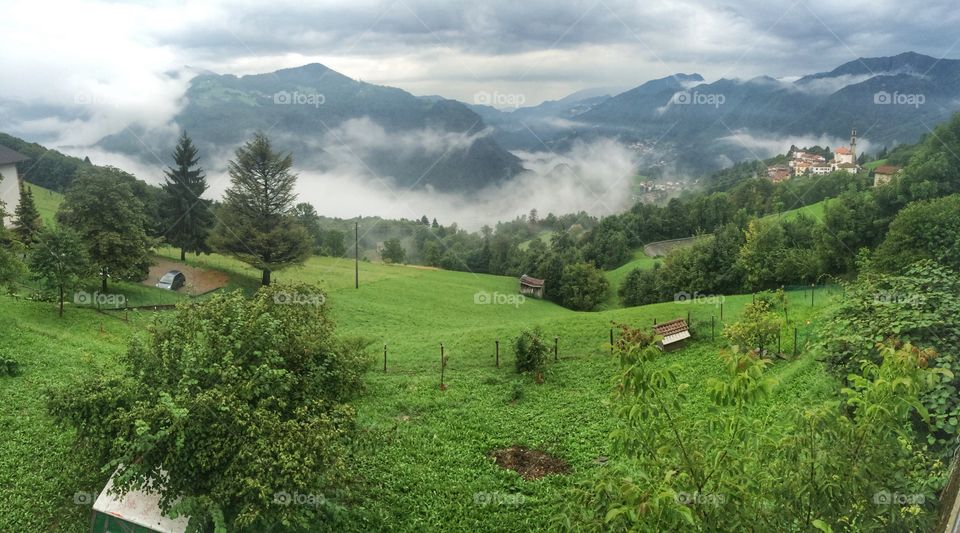 Clouds on the forest of the valley 