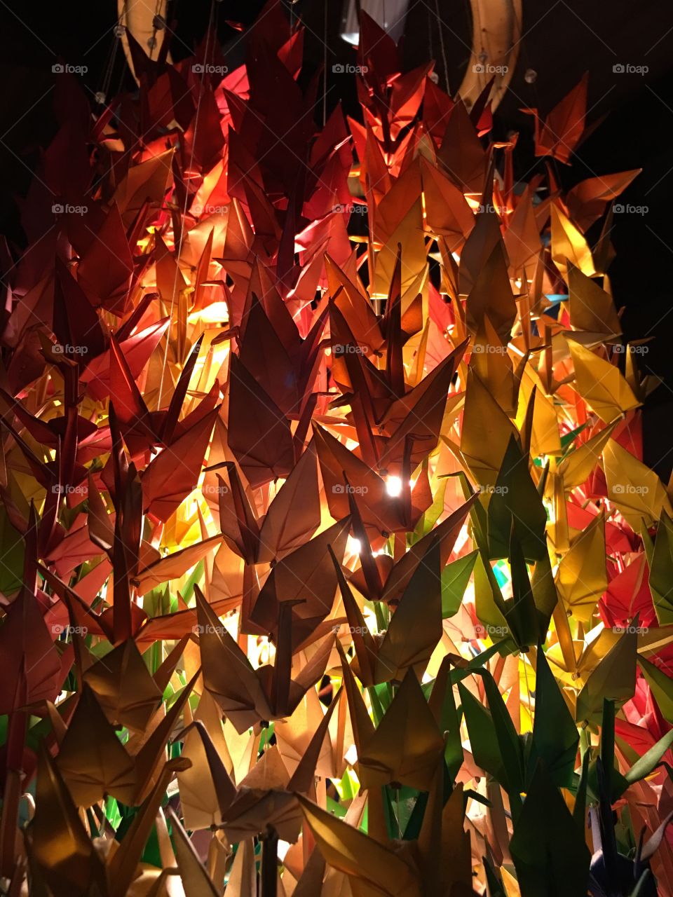 Colorfull origami