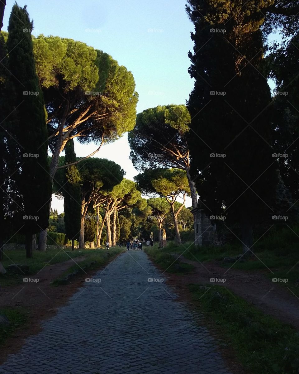 walking on history at the sunset in rome