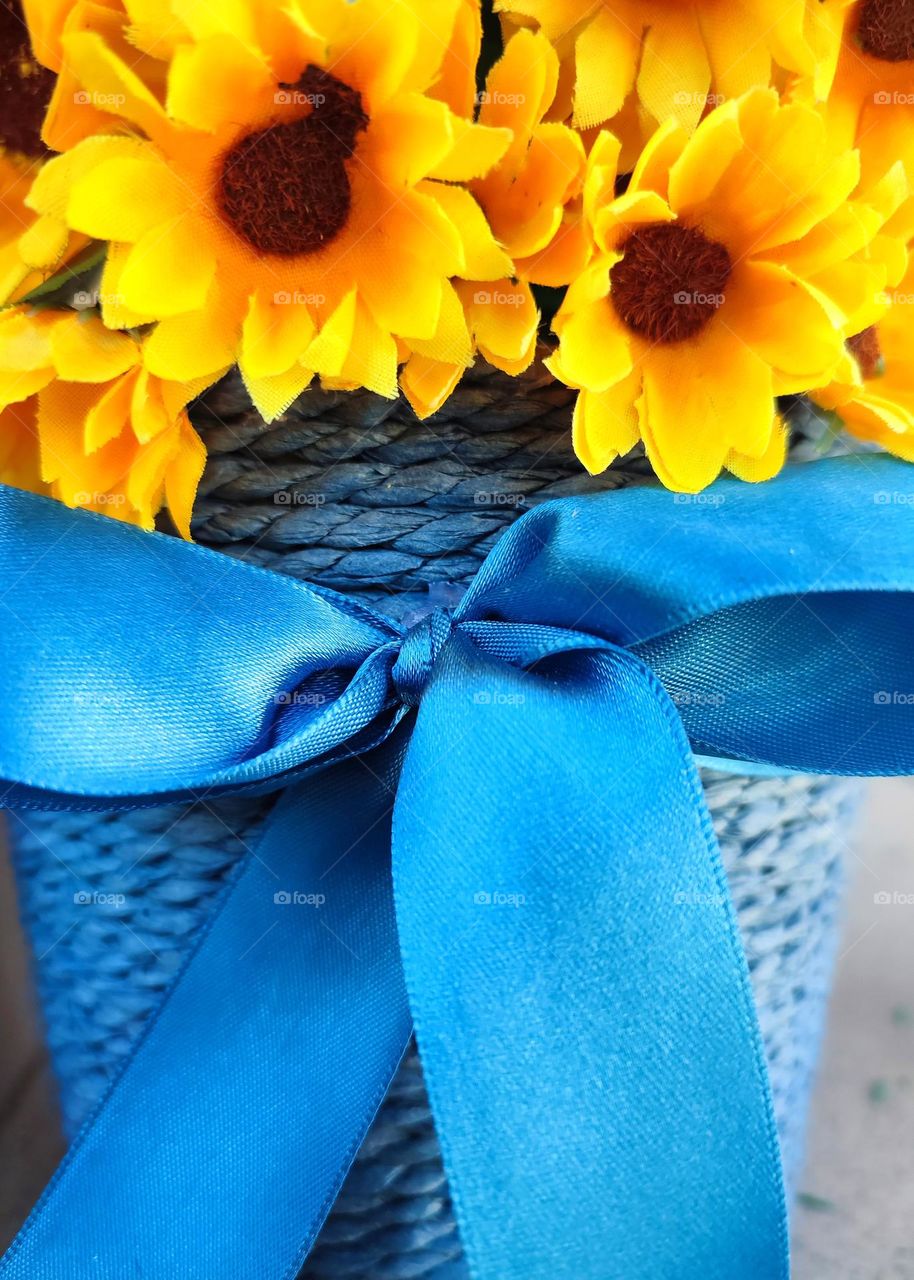 Complementary Colors, Flower Pot