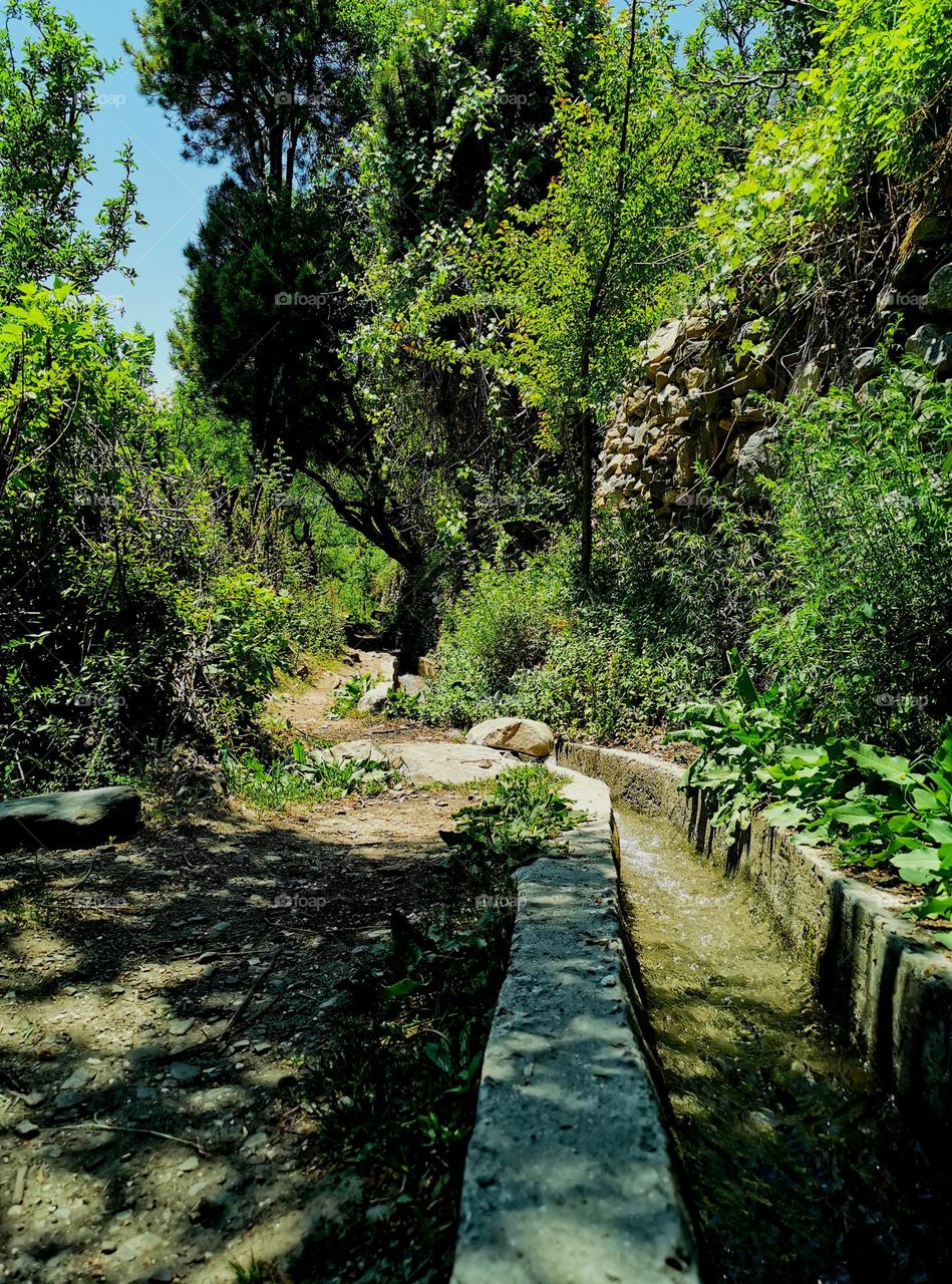 Bright sunny afternoon