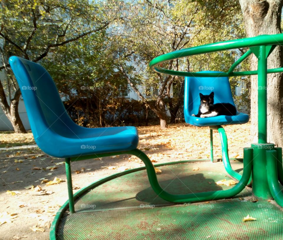 Chair, Seat, Summer, Playground, Wood