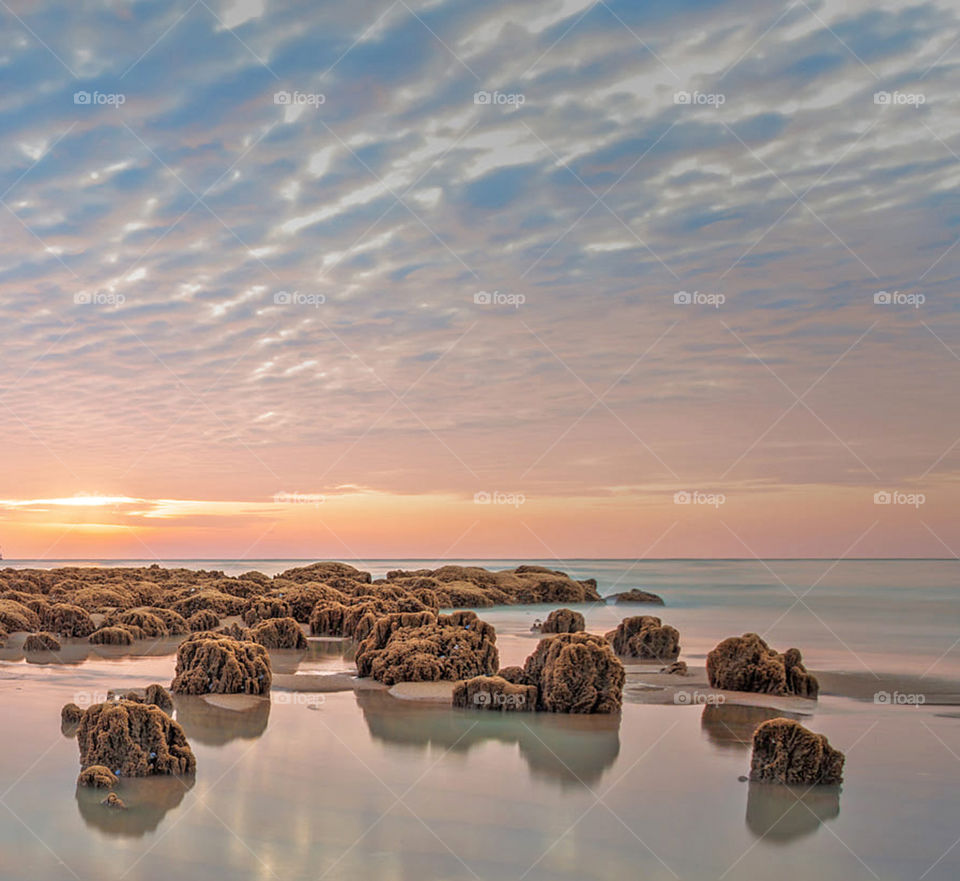 Travel around the world