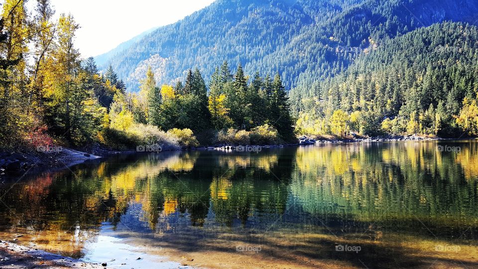 incredible reflection