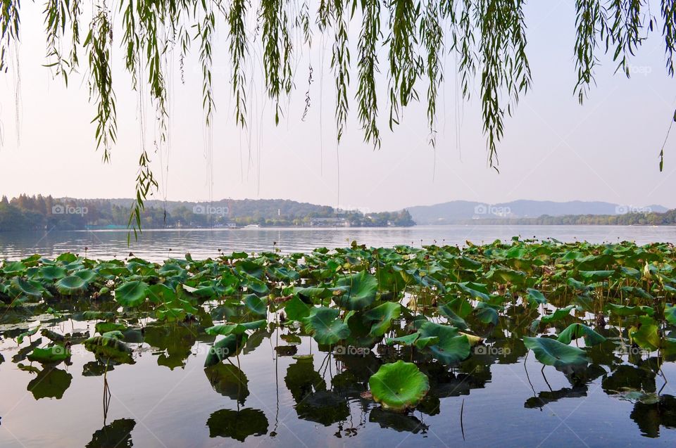 Lake in China 