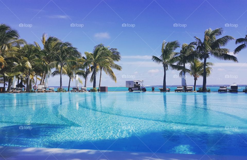 View of palm trees at resort