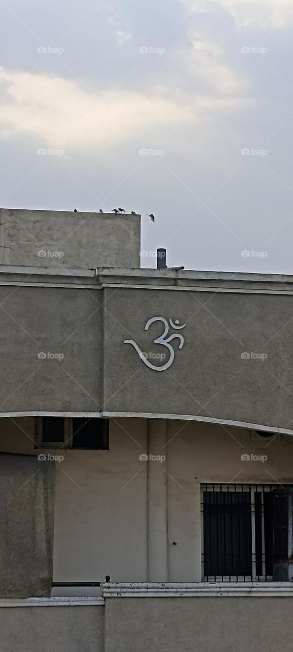 sparrows playing with no restrictions of place , color and size .