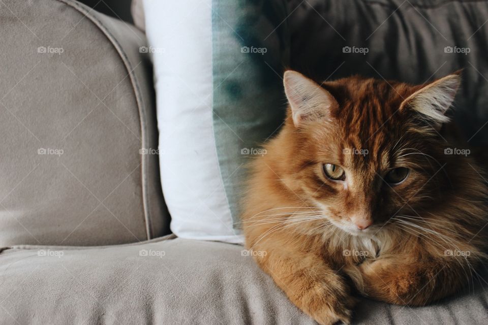 Sitting on the Couch