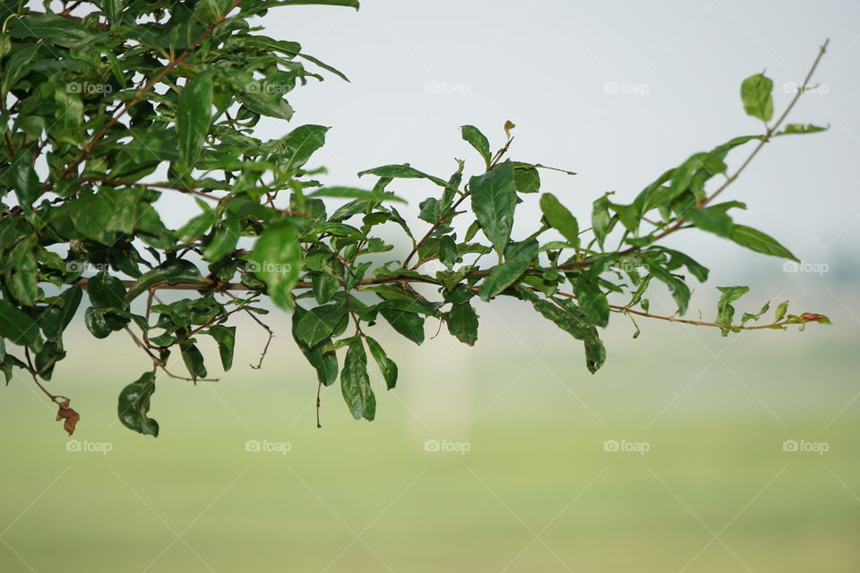 This is only sample because this is my first time